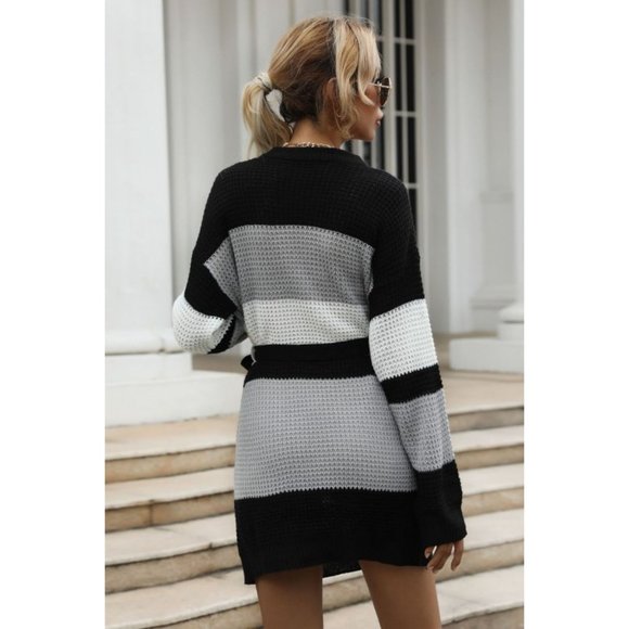 Color Block Belted Round Neck Sweater Dress - Picture 2 of 5